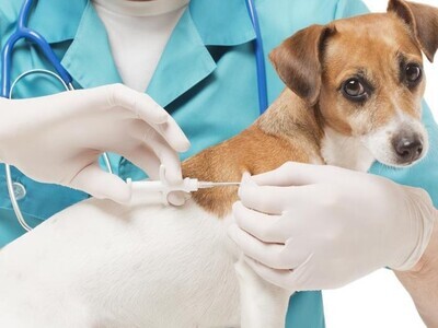 Micro chipping